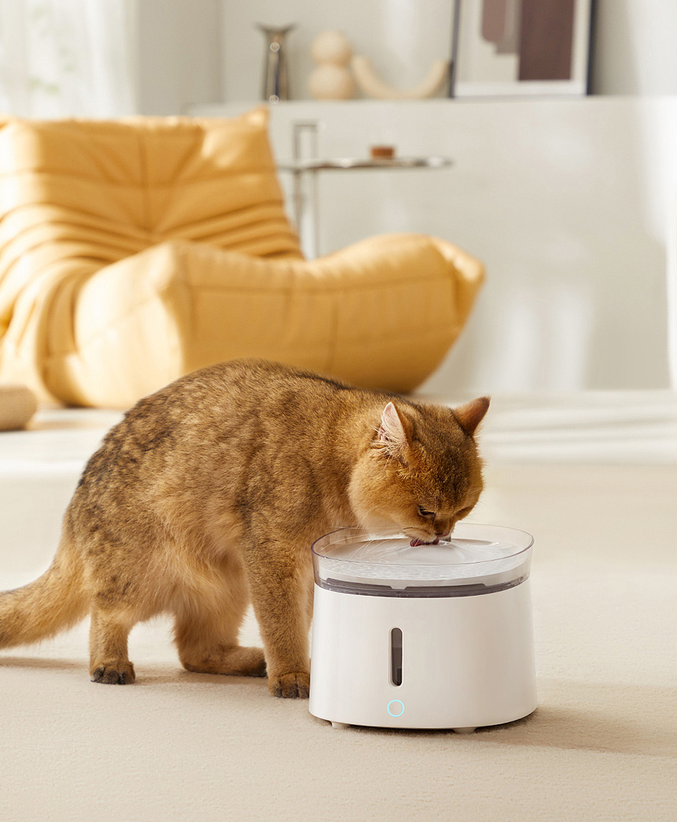 ผลิตภัณฑ์สัตว์เลี้ยง